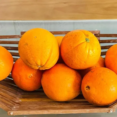 Aqua Plaza By Check-in Portugal Appartamento Albufeira