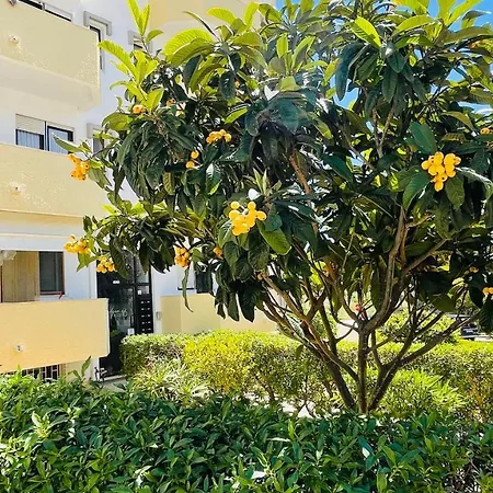 Aqua Plaza By Check-in Portugal Albufeira